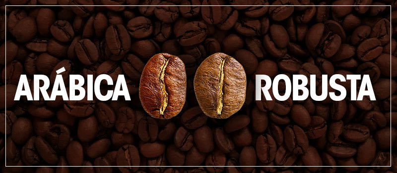 Cafés Especiais - Qual a diferença entre o Café Arábica e ou Robusta?