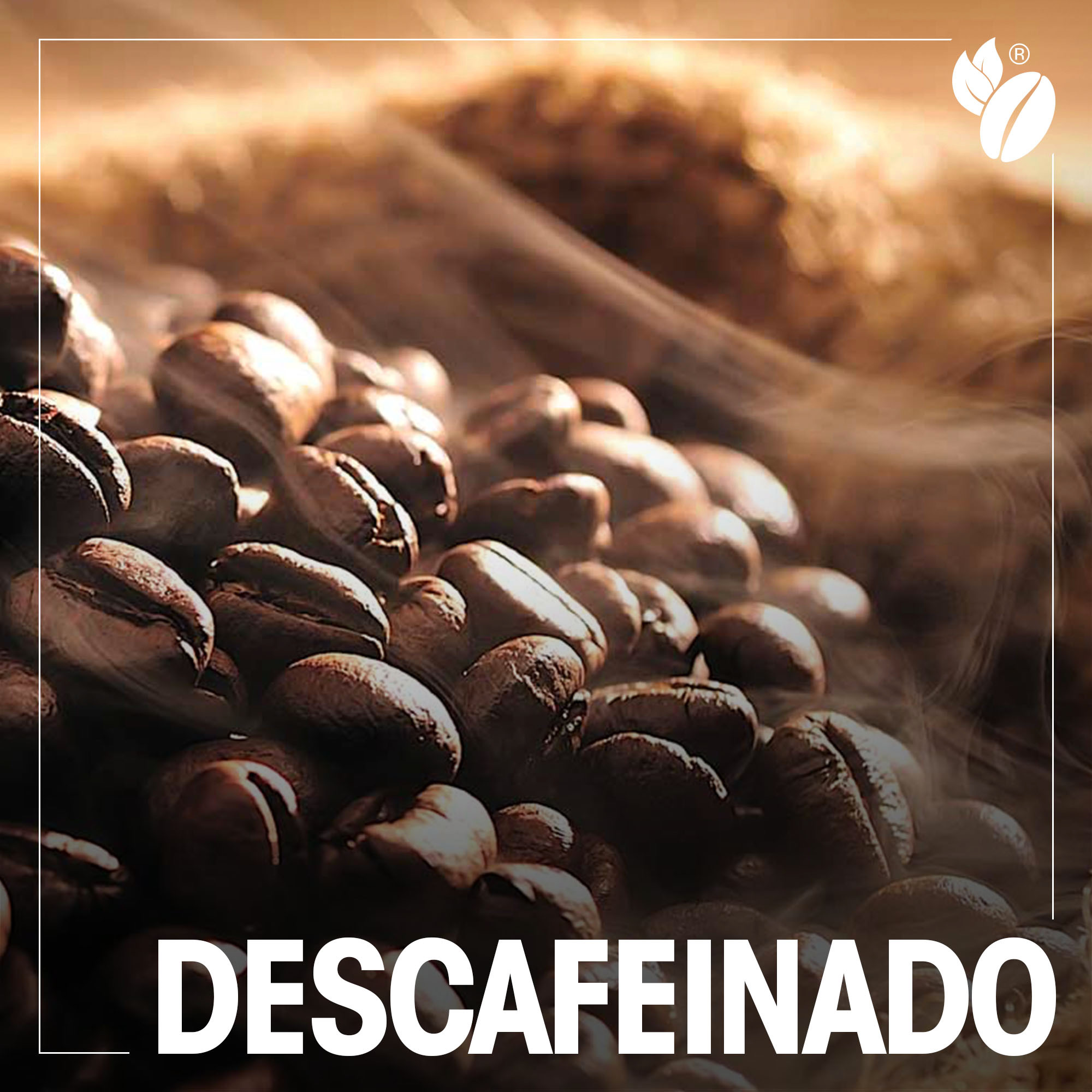 Café Arábica x Café Robusta. Você sabe qual a diferença? - Cafés Pagliaroni