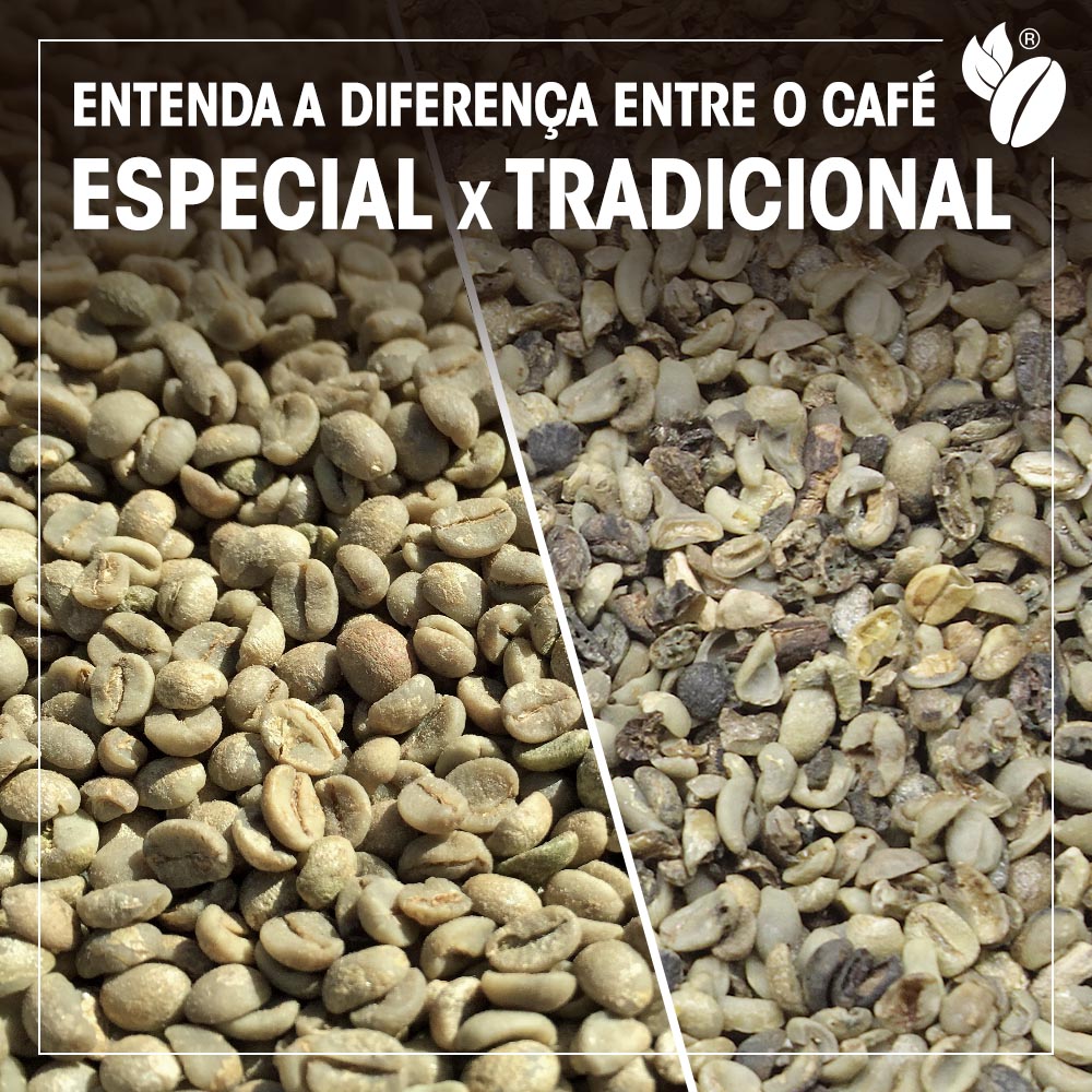 Cafés Especiais - Qual a diferença entre o Café Arábica e ou Robusta?